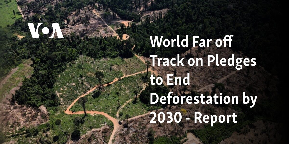 According to a report, the world is not meeting its commitments to end deforestation by 2030.