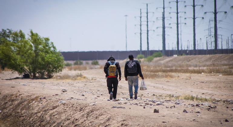 According to the International Organization for Migration (IOM), the border between the United States and Mexico is considered the most dangerous land route for migration, with the highest number of fatalities.