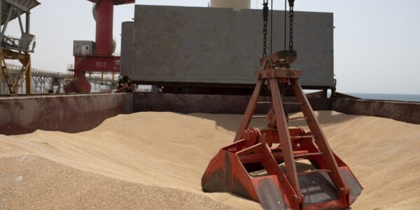 The first major wheat harvest has taken place in Malawi.