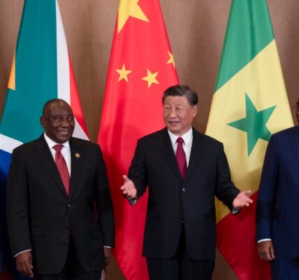 The International Monetary Fund has cautioned Africa about potential economic risks due to a slowdown in China's economy.