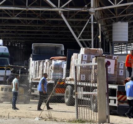 The United Nations is pleased to receive the initial Gaza relief convoy, but stresses the need for additional ones.
