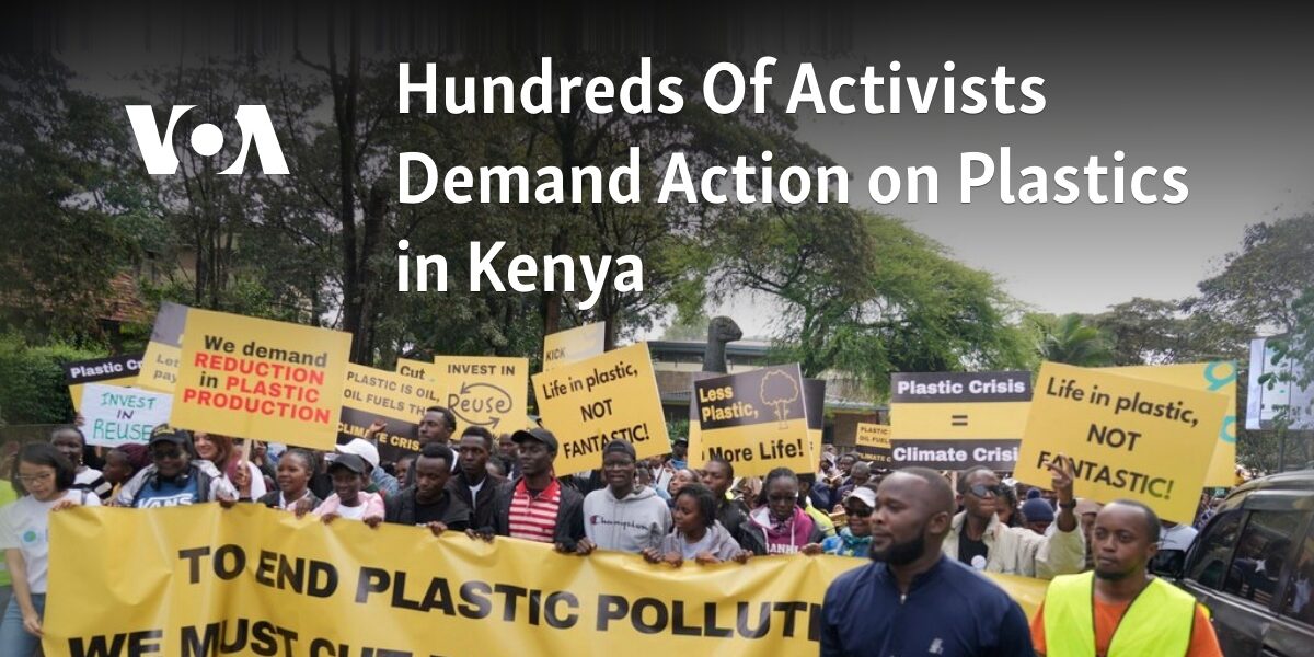 A large group of individuals are calling for action to be taken on the issue of plastic usage in Kenya.
