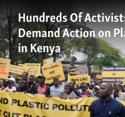 A large group of individuals are calling for action to be taken on the issue of plastic usage in Kenya.
