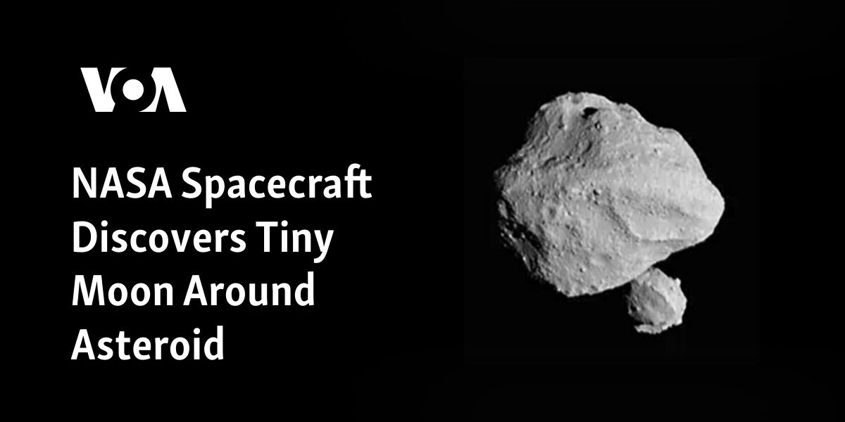 A small moon has been found orbiting an asteroid by a spacecraft from NASA.