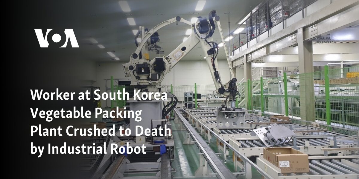An employee at a vegetable packing facility in South Korea was fatally injured by an industrial robot.