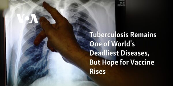 Despite being one of the most lethal illnesses globally, tuberculosis shows promise for a potential vaccine breakthrough.