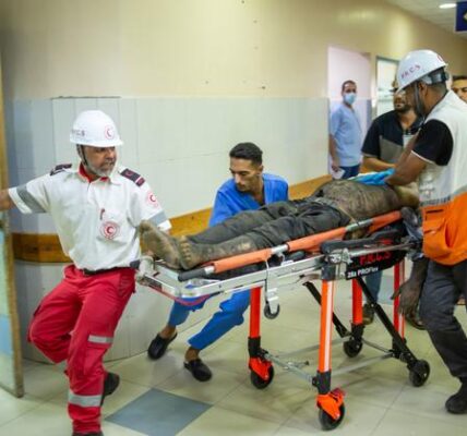 Infants are losing their lives in a hospital in Gaza City amidst the destruction and chaos.