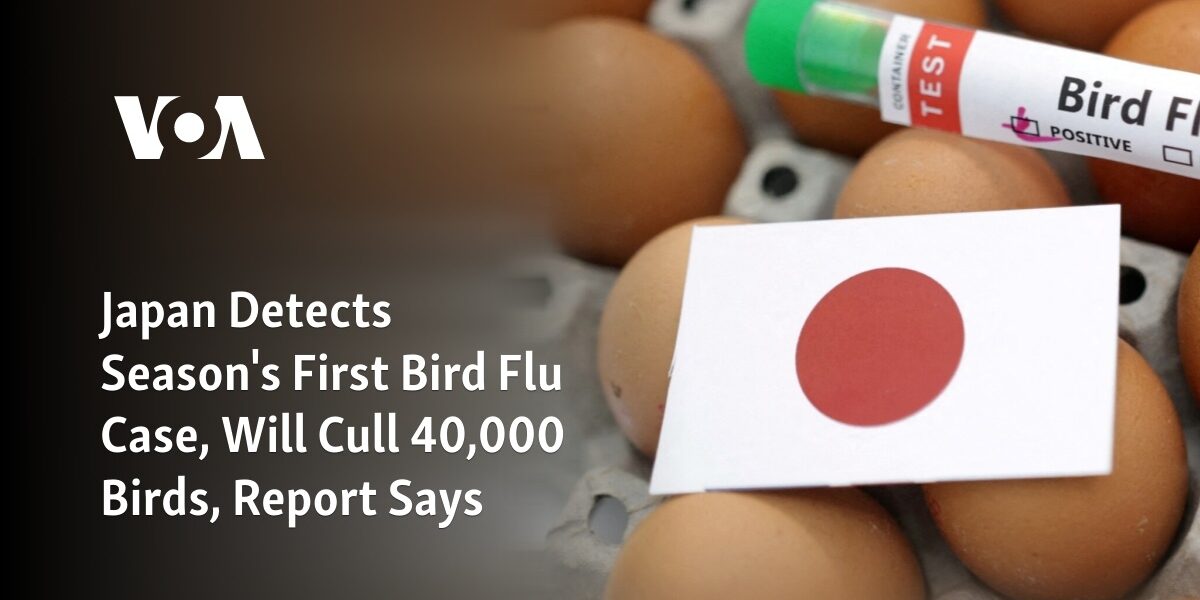 Japan has discovered the first instance of bird flu of the season and intends to eliminate 40,000 birds, according to a report.