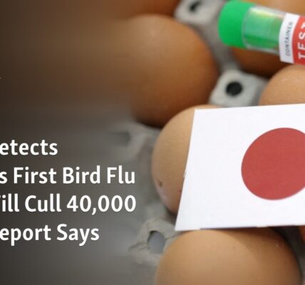 Japan has discovered the first instance of bird flu of the season and intends to eliminate 40,000 birds, according to a report.