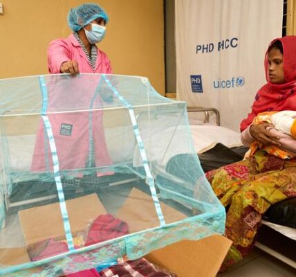 Significant progress has been made by Bangladesh, Maldives, and DPR Korea in their efforts towards eradicating diseases.