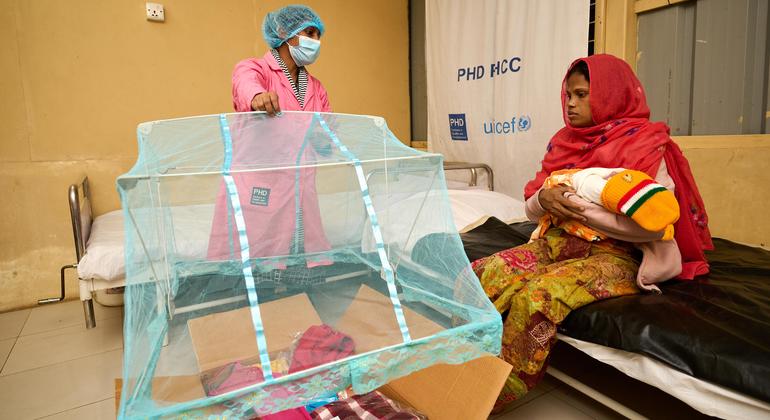 Significant progress has been made by Bangladesh, Maldives, and DPR Korea in their efforts towards eradicating diseases.