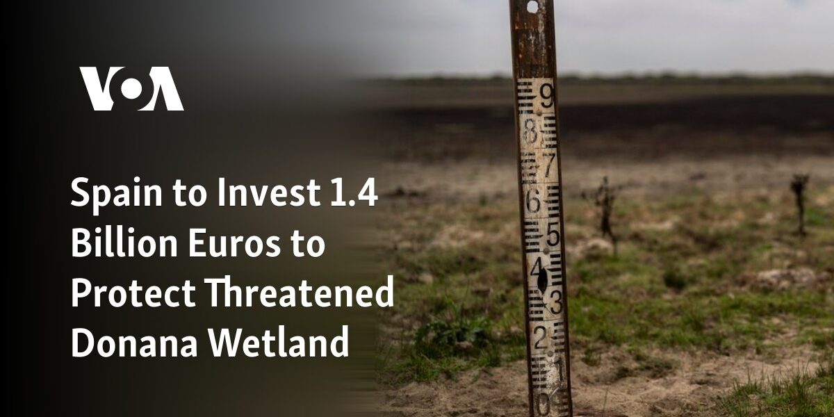 Spain plans to allocate 1.4 billion Euros towards preserving the at-risk Donana Wetland.