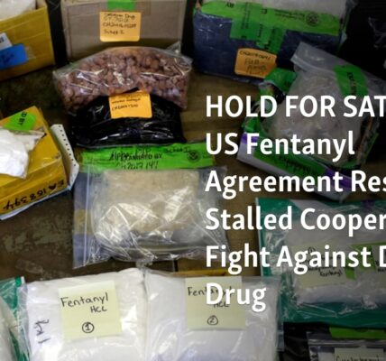 The agreement between China and the US on fentanyl revives the halted joint effort to combat the lethal drug.