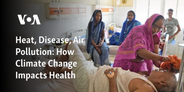 The effects of climate change on health: Heat, illness, and air pollution