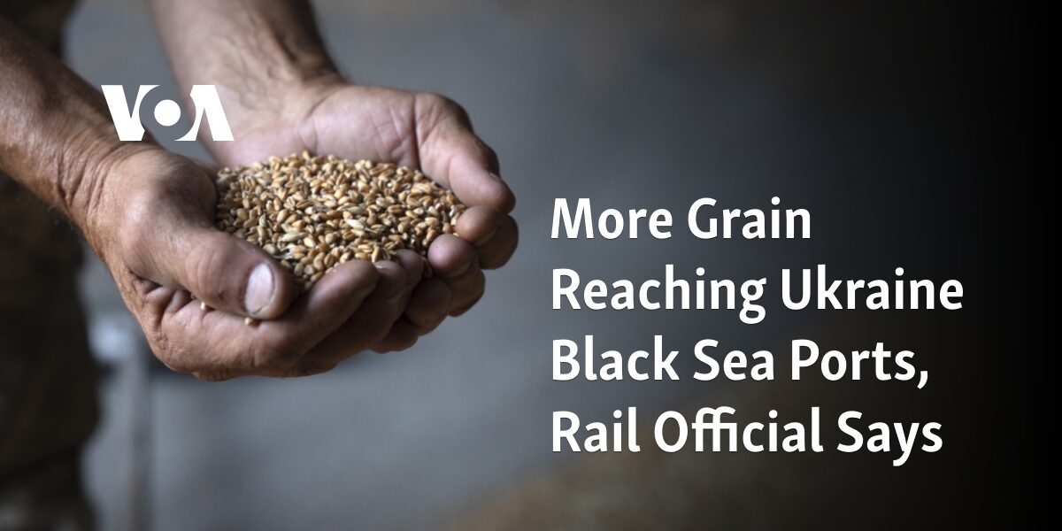 The rail official reports an increase in the amount of grain being transported to Ukraine's Black Sea ports.