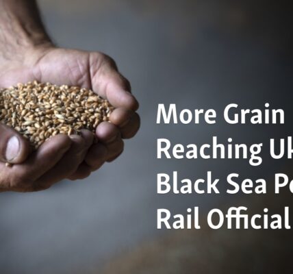 The rail official reports an increase in the amount of grain being transported to Ukraine's Black Sea ports.