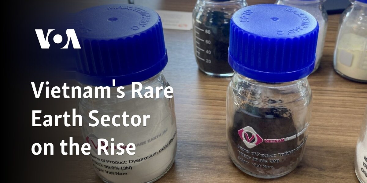 The rare earth sector in Vietnam is experiencing growth.