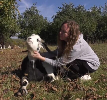 This woman independently runs a dairy farm in the Khmelnytski Region of Ukraine.