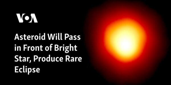 A bright star will experience a rare eclipse as an asteroid passes in front of it.