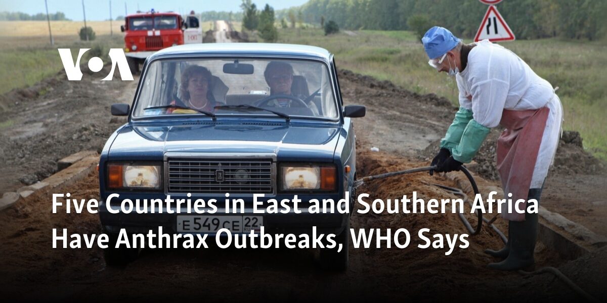 According to the World Health Organization, there are currently anthrax outbreaks in five countries in East and Southern Africa.