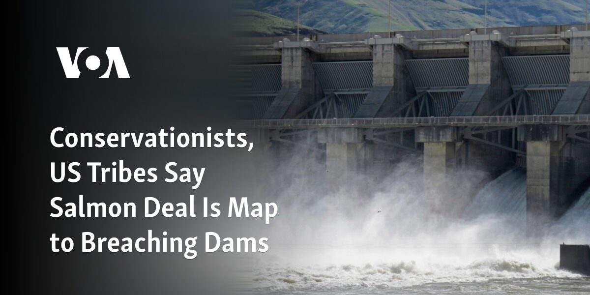 Environmentalists and Native American Tribes Argue That Salmon Agreement Maps Out a Plan for Removing Dams