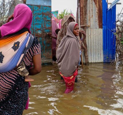 In short global updates: Flooding in Somalia, Update on Cholera in Sudan, and Efforts to Prevent Genocide.