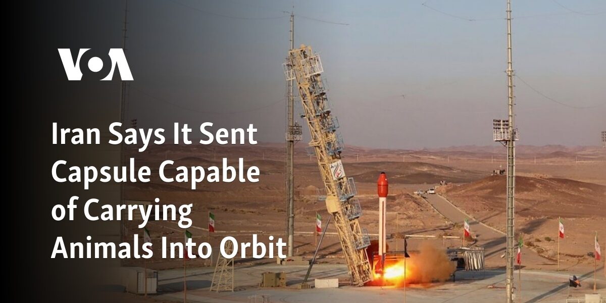 Iran claims to have launched a capsule that is capable of transporting animals into space.