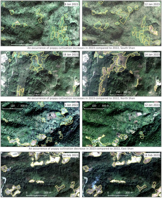 Changes in area under opium cultivation between 2022 and 2023
