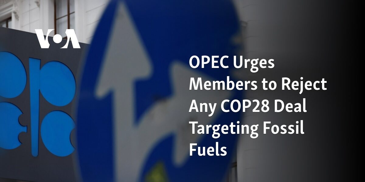OPEC Urges Members to Reject Any COP28 Deal Targeting Fossil Fuels