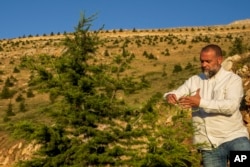 Environmental engineer Charbel Tawk looks after a cedar tree as part of a forestation initiative 2,400 meters (7,800 feet) above sea level, in Bcharre, Lebanon, on July 22, 2023.