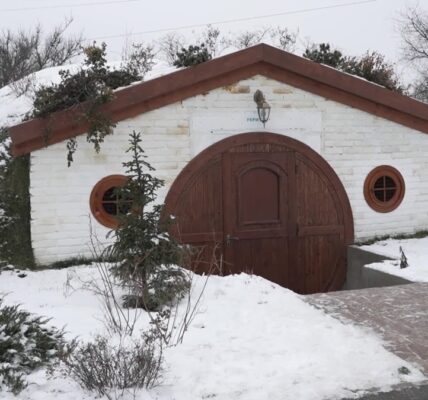 A shelter inspired by the hobbits provides relief for Ukrainian children experiencing stress.