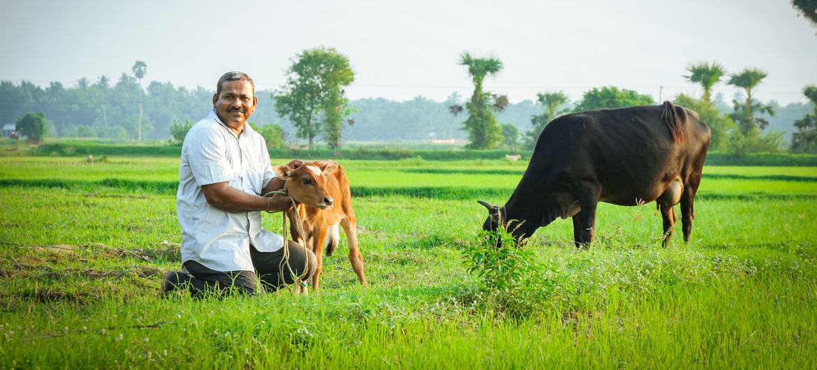 A proud farm owner, Selvan struggled to sustain his livestock during the economic crisis in Sri Lanka.