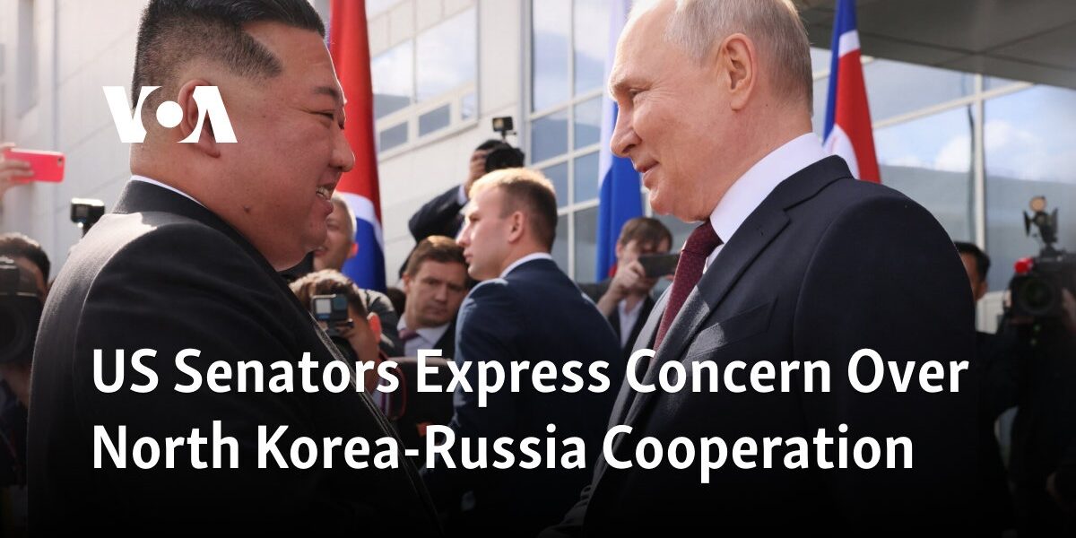 American lawmakers express worry about collaboration between North Korea and Russia.