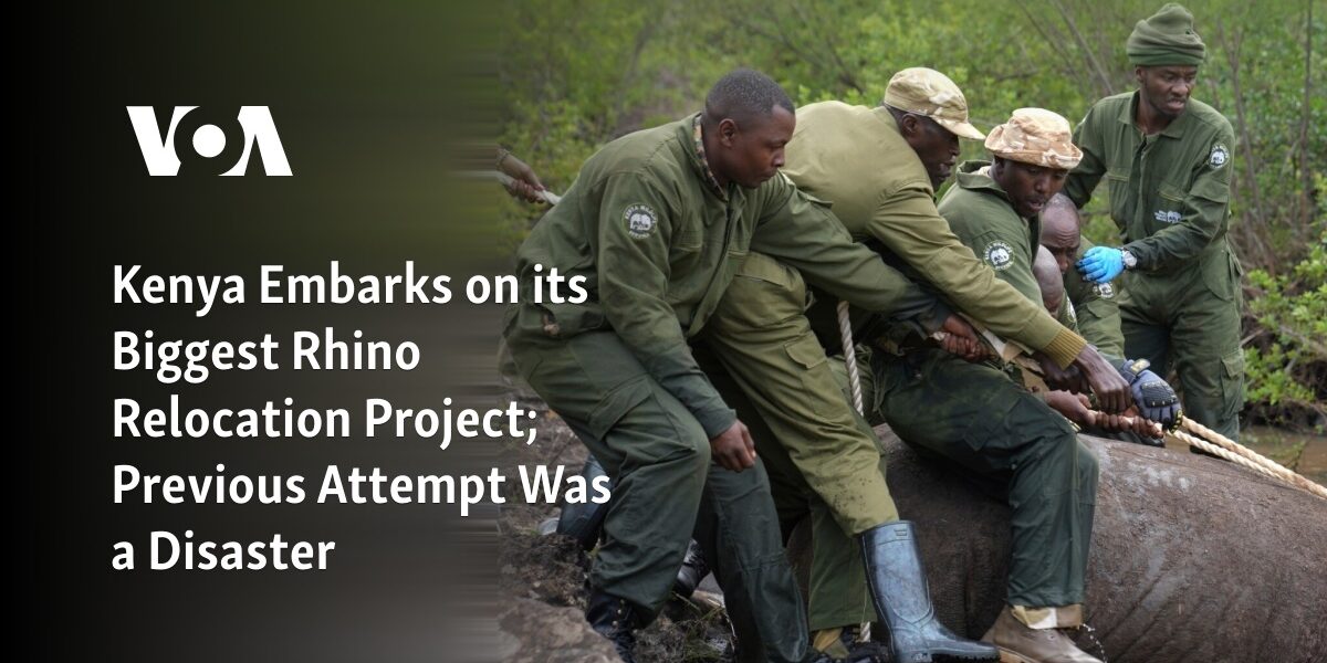 Kenya Embarks on its Biggest Rhino Relocation Project; Previous Attempt Was a Disaster