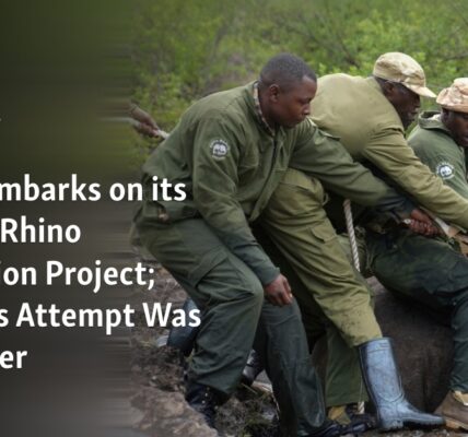 Kenya Embarks on its Biggest Rhino Relocation Project; Previous Attempt Was a Disaster