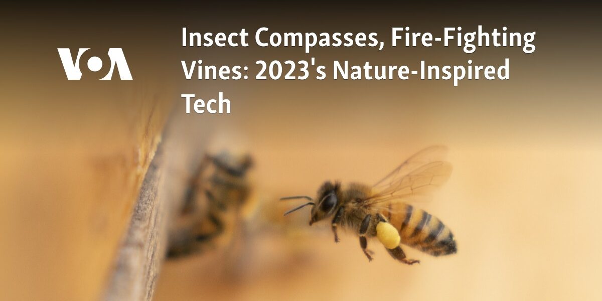 Nature-Inspired Technology in 2023: Insect Navigation Tools and Fire-Resistant Plants for Fighting Fires
