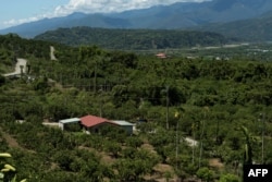 FILE - This picture taken on Aug. 17, 2022 shows pomelo farms in Ruisui township, in Taiwan's Hualien county.