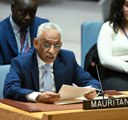 The Security Council has been called upon to put an end to the conflict and acknowledge Palestine.