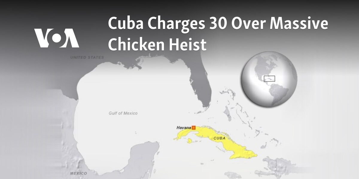 30 Individuals Face Charges in Cuba for Stealing Large Quantity of Chickens