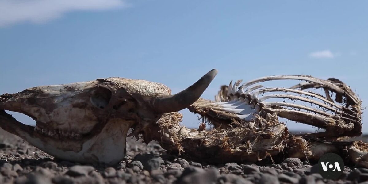 At the Nairobi meeting, member states of the United Nations addressed the urgent issue of the global environmental crisis.