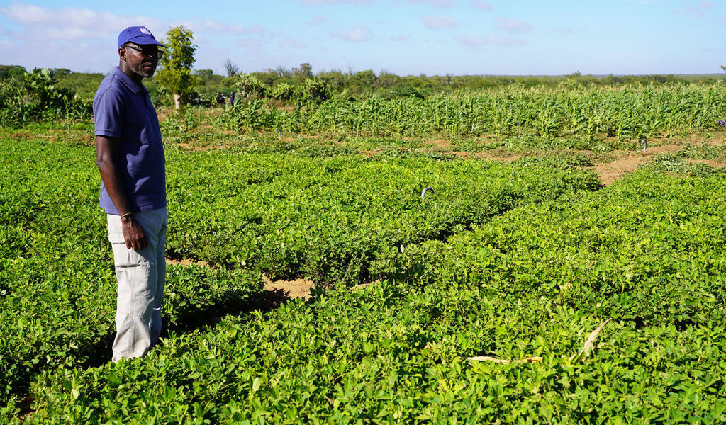 Madagascar, which has been impacted by climate change, is adjusting to the changing conditions. The UN Resident Coordinator has written a blog post about this adaptation process.