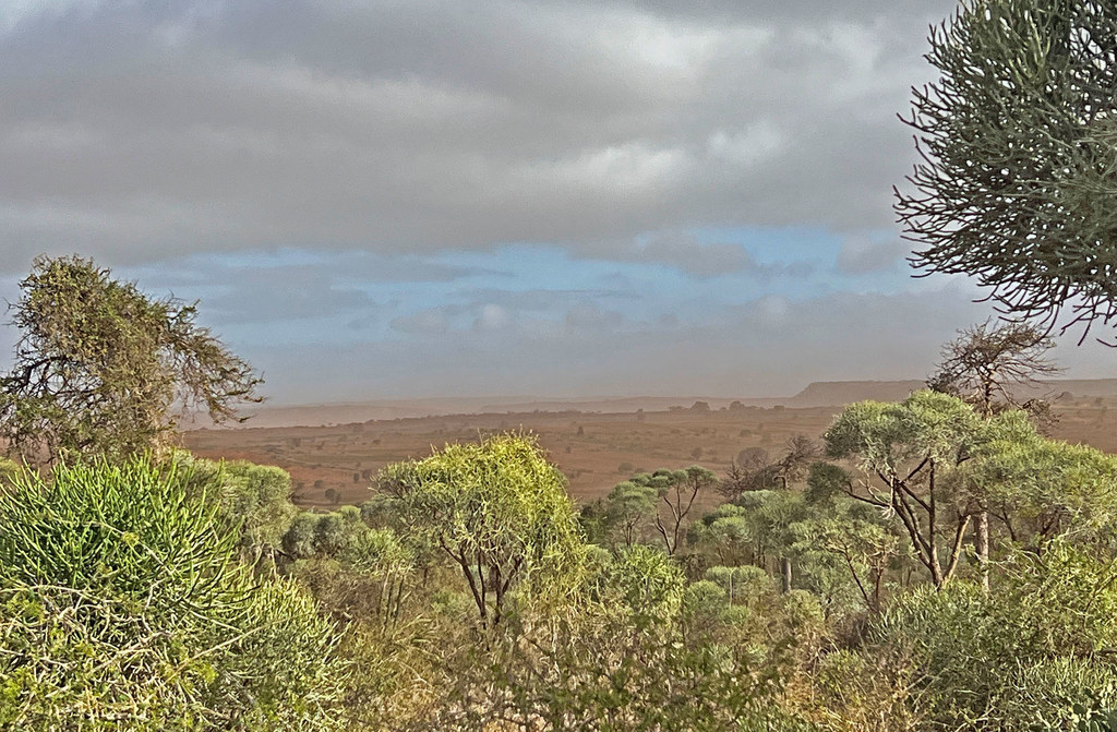 El Nino is bringing drier conditions and stronger winds across southern Madagascar.