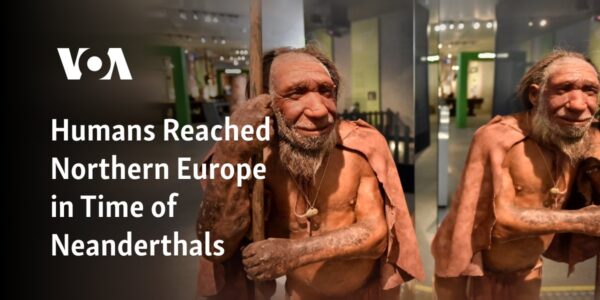 Neanderthals coexisted with humans in Northern Europe.