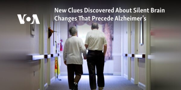 Recent findings reveal new information about the subtle alterations in the brain that occur before the onset of Alzheimer's disease.