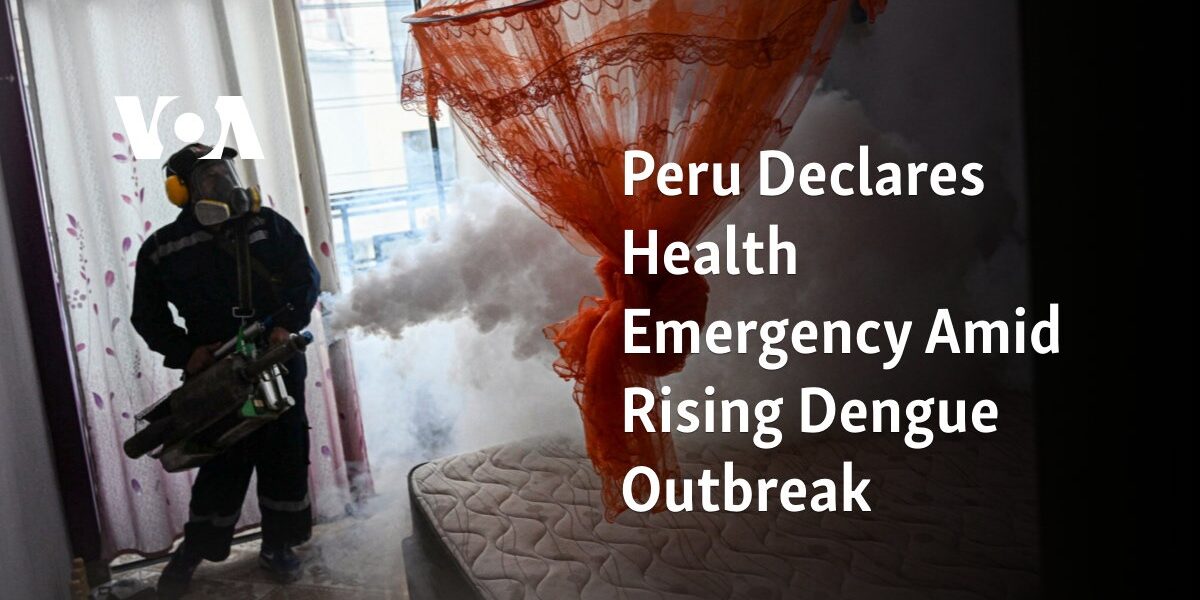 The country of Peru has announced a state of health crisis due to an increasing outbreak of dengue fever.