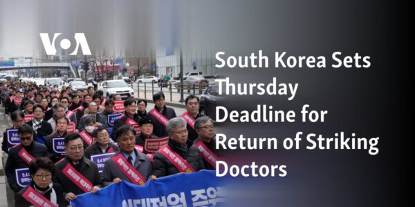 The government of South Korea has issued a Thursday deadline for striking doctors to return to work.