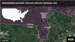 The potential mine located near a wildlife refuge in the United States is close to being approved.