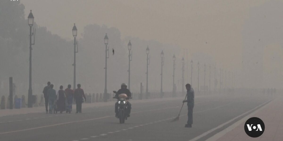 The severe air pollution in New Delhi leads some residents to leave the city.