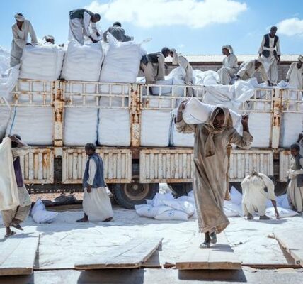 Wheat from war-torn Ukraine to feed families affected by conflict in Sudan