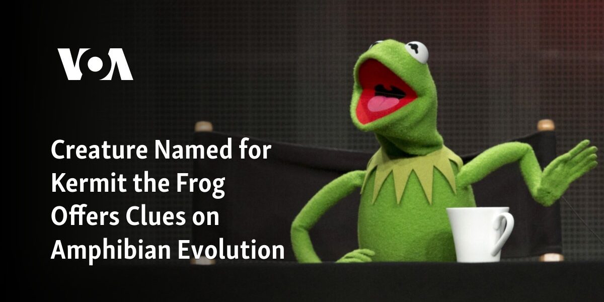 A creature, named after Kermit the Frog, provides insights into the evolution of amphibians.